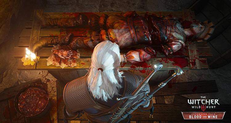 The Witcher 3 Blood and Wine screenshot 02