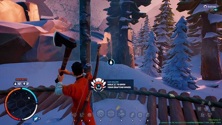 Guida a Darwin Project