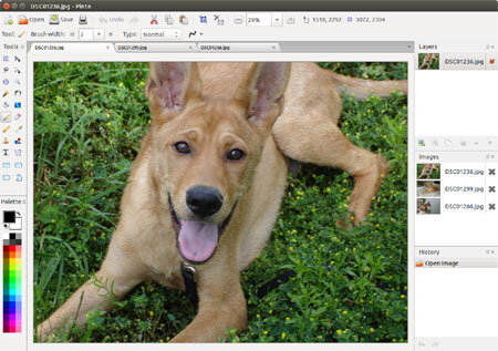 alternative gratuite a photoshop pinta