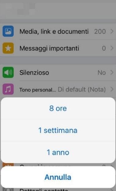 silenzia contatto whatsapp iphone