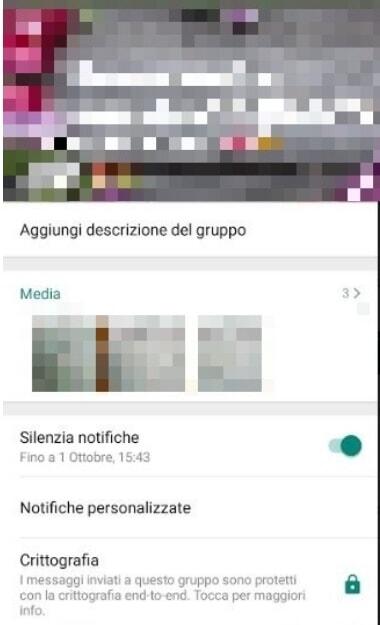 silenzia notifiche gruppo levetta
