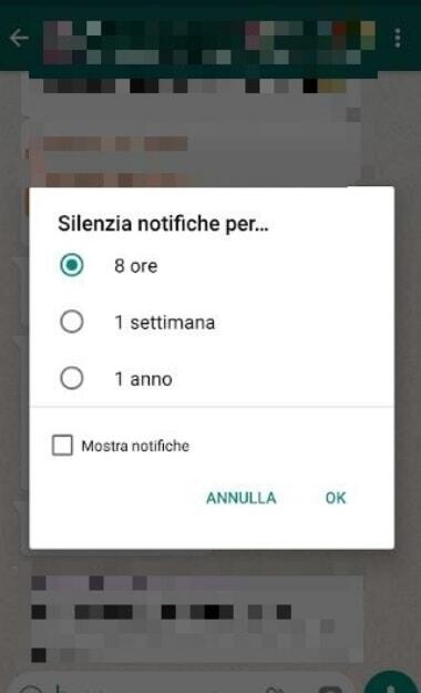 silenzia notifiche gruppo