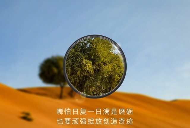 huawei p30 pro zoom 3