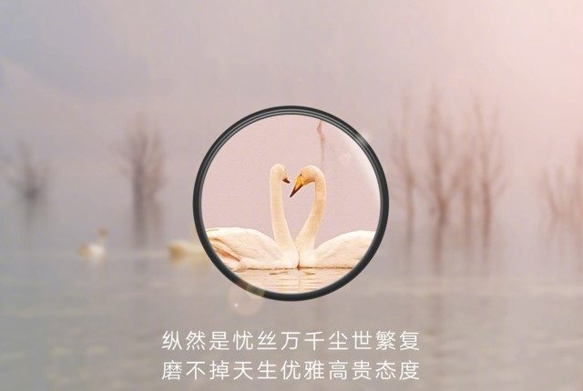 huawei p30 pro zoom 4