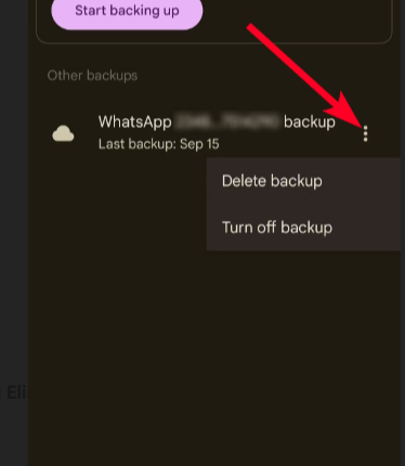 Come trovare i backup di WhatsApp su Google Drive4